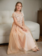 A-line Chiffon Floor-length Pink Flower Girl Dress